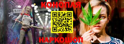 mdpv Брянск