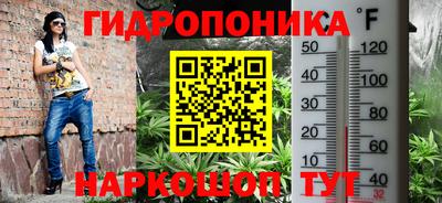 таблы Боровичи