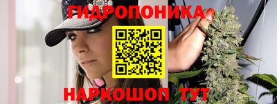mdpv Брянск