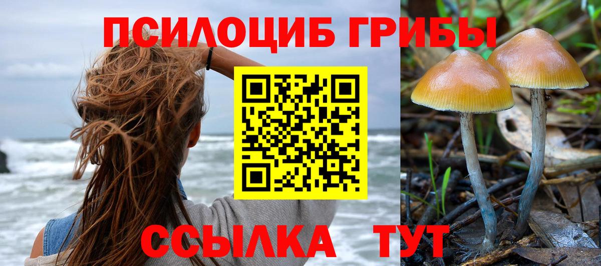 Псилоцибиновые грибы мухоморы  Вход с VPN  Псилоцибиновые грибы GOLDEN TEACHER  Борисоглебск 